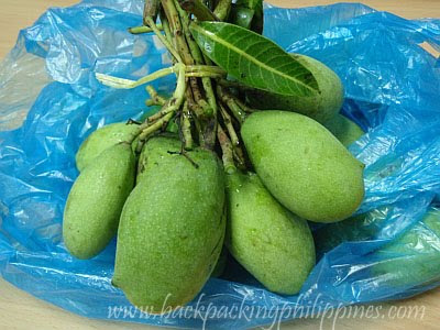 little mangoes paho