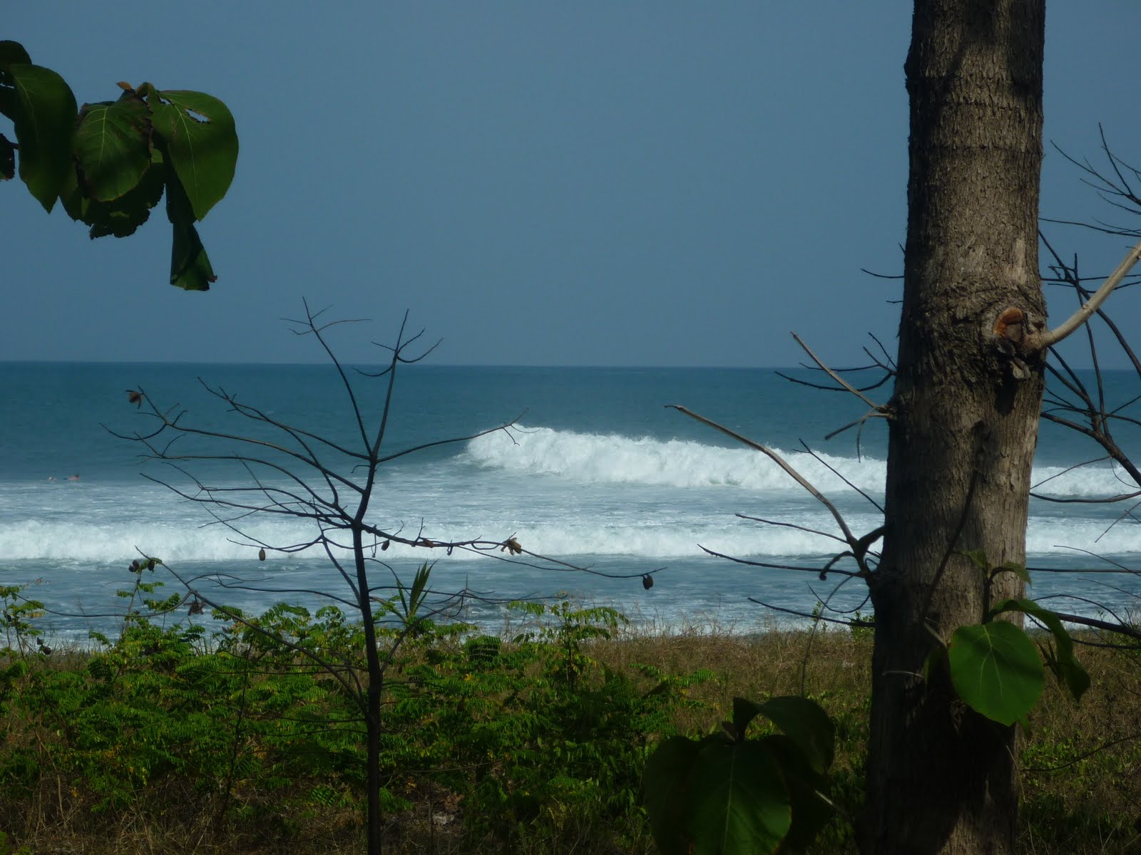 PLAYA CAMBUTAL "PANAMA" Panama, Tonosí, Playa cambutal
