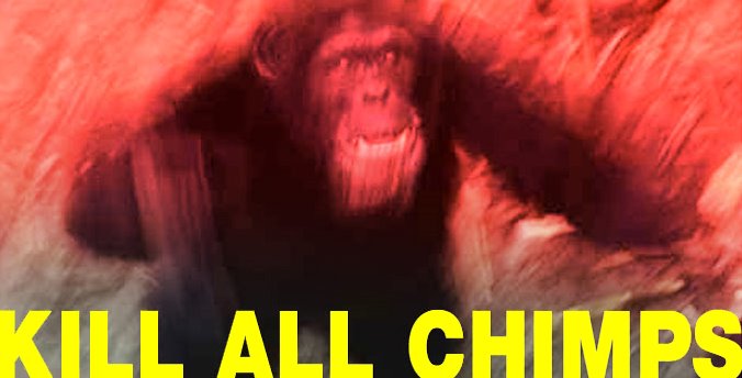 Kill All Chimps