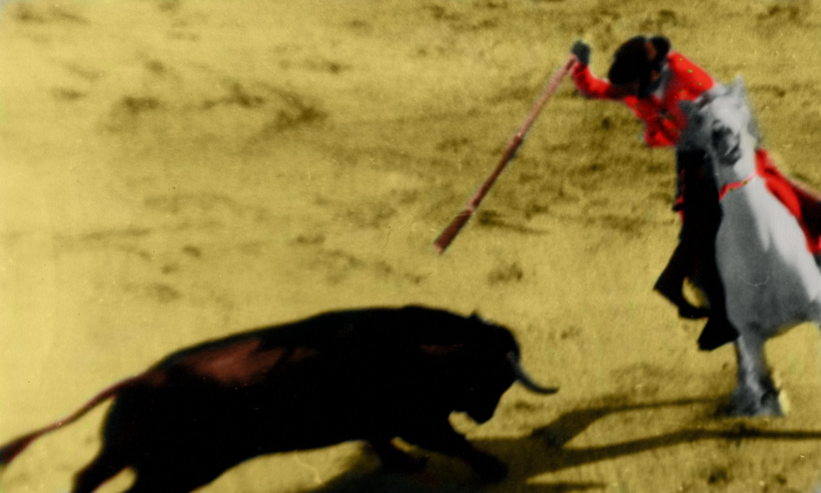 [bullfight4.jpg]