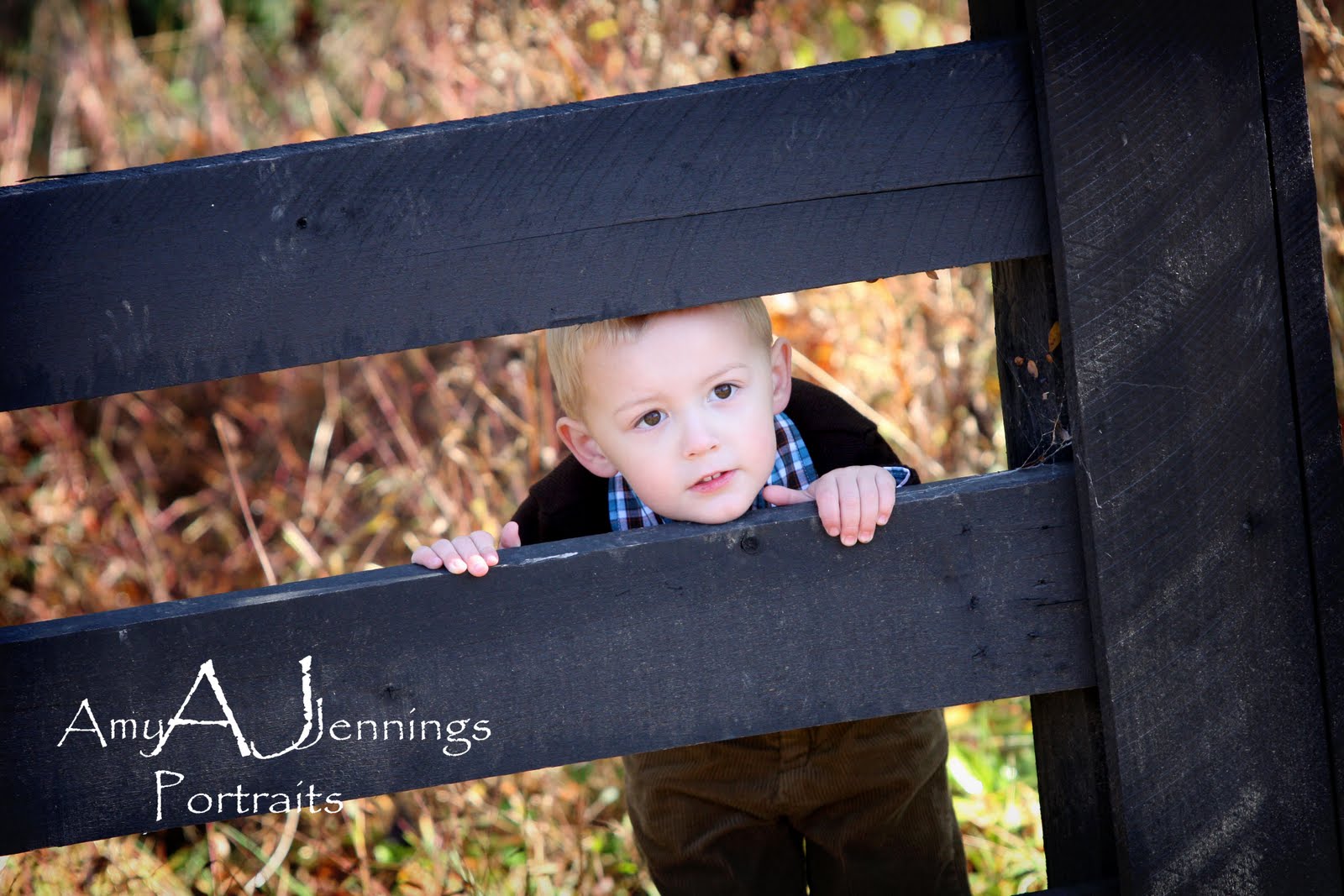 Amy Jennings Portraits Silas and Finn...sweet, sweet brothers