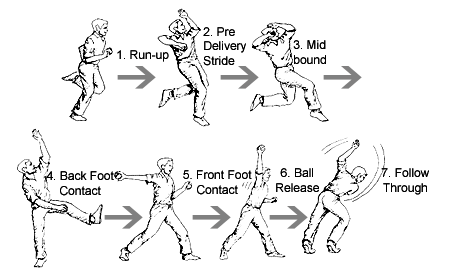 cricket: Bowling