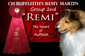 CH Ruffleith's Remy Martin