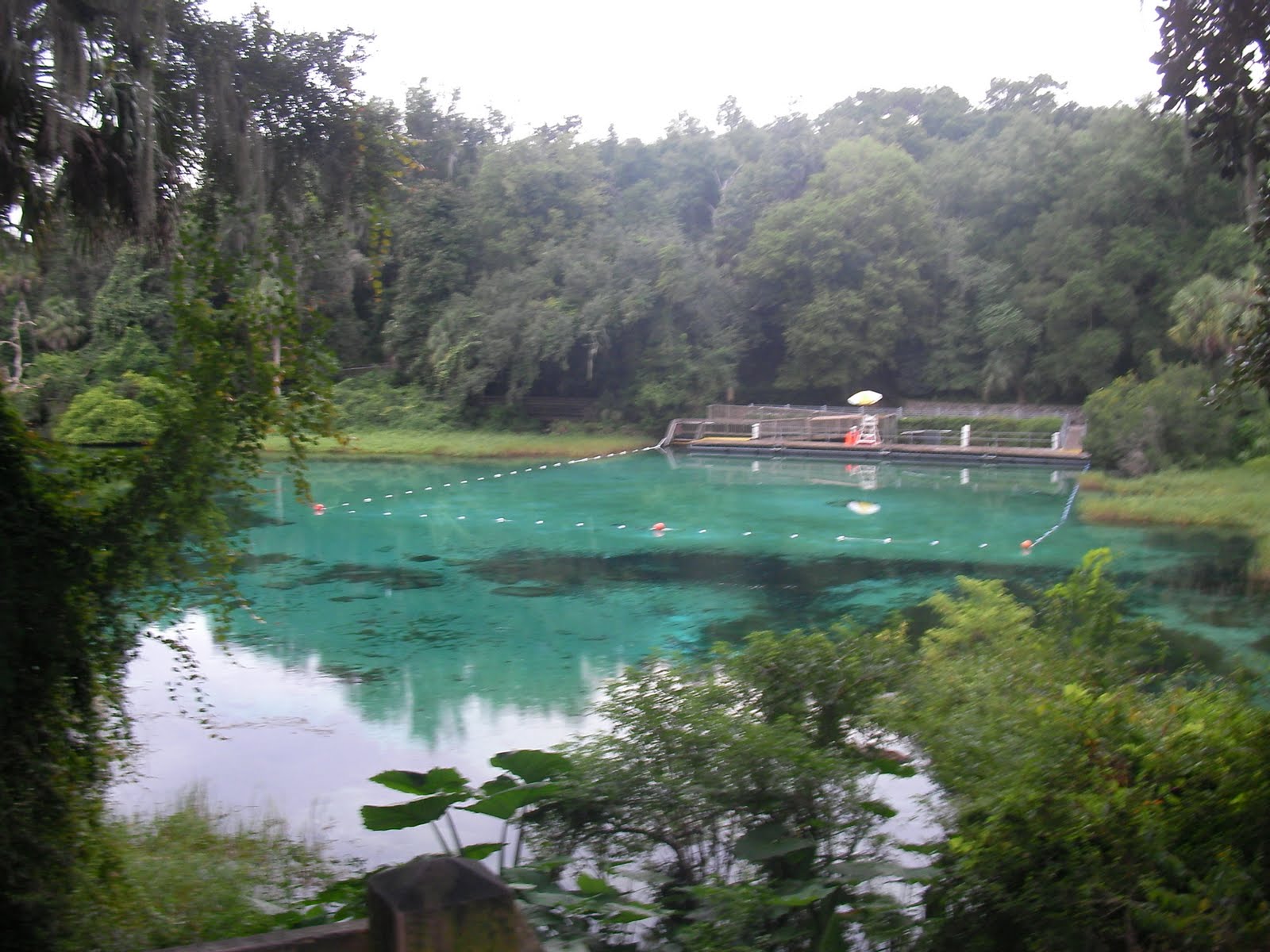The "Unknown" Florida Rainbow Springs Dunnellon, FL