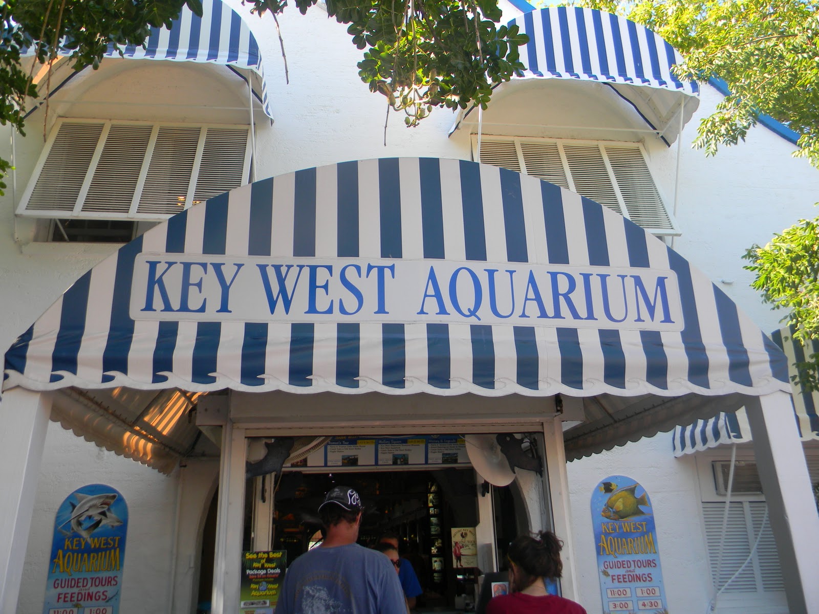 The "Unknown" Florida Key West Aquarium Key West, FL