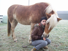 klik op de link hier onder voor de website over onze haflinger paarden