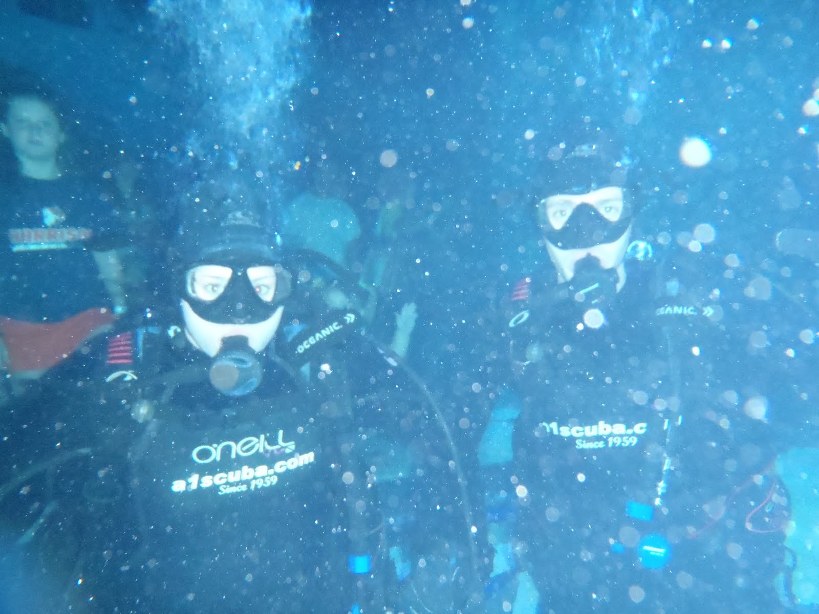 Colorado Adventures Scuba Diving Denver Aquarium