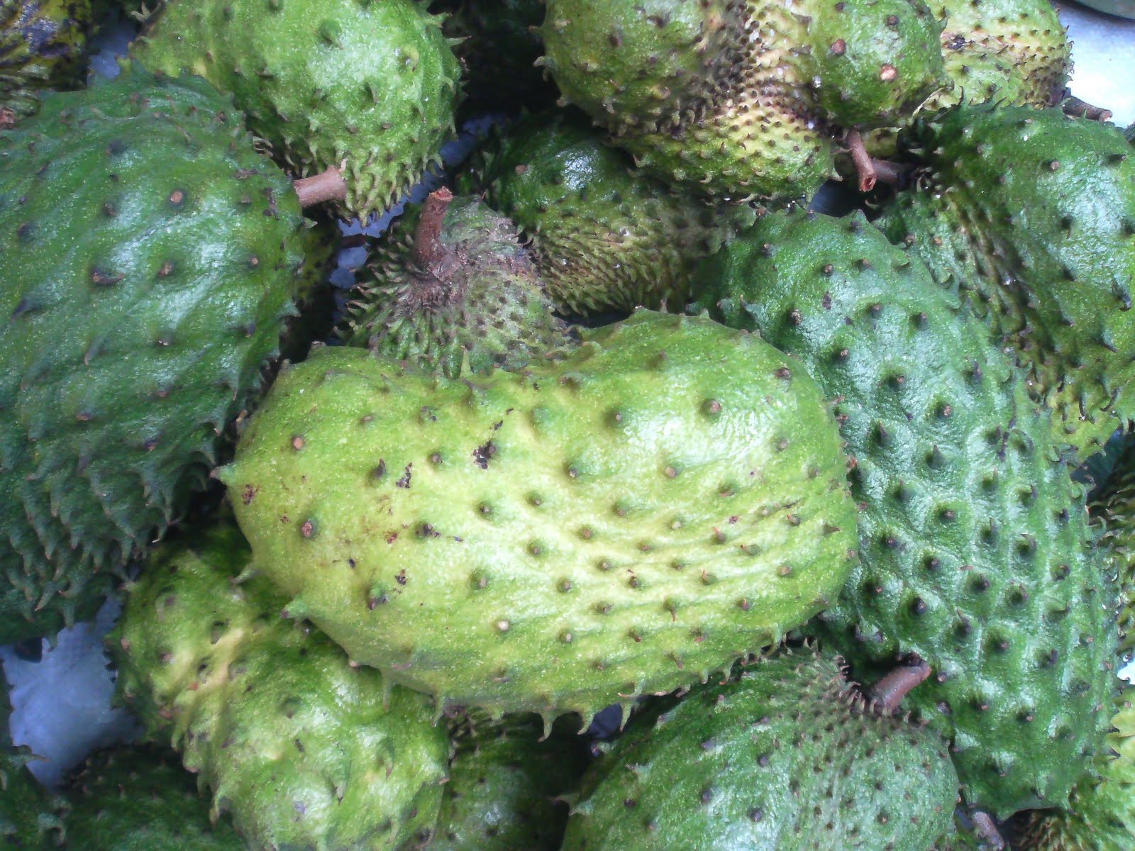 My Sarawak (3rd Ed.) Unique Fruits