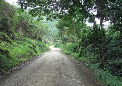 Este sendero de Tierradentro, Colombia, se parece mucho al que he caminado esta noche, en mis sueños, y al que se abre ante mí con miles de posibilidades. J.B.R. 2008