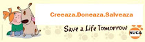 Donate your creations and save an animal!!