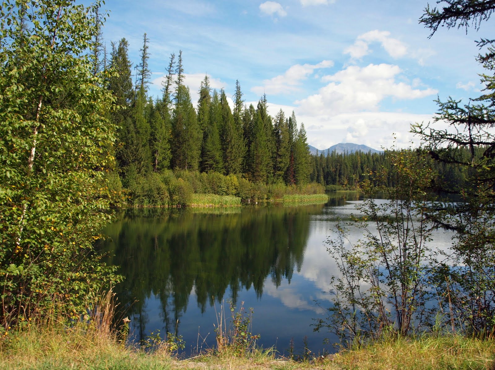 The Trip Sept. 15 Hungry Horse