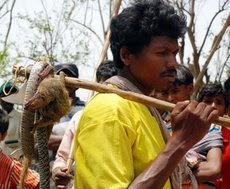 ။ Ayodhya Hill (Purulia), 10 May :