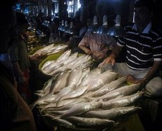 န Agartala, 8 May :