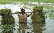 န Lalmonirhat, 21 May :