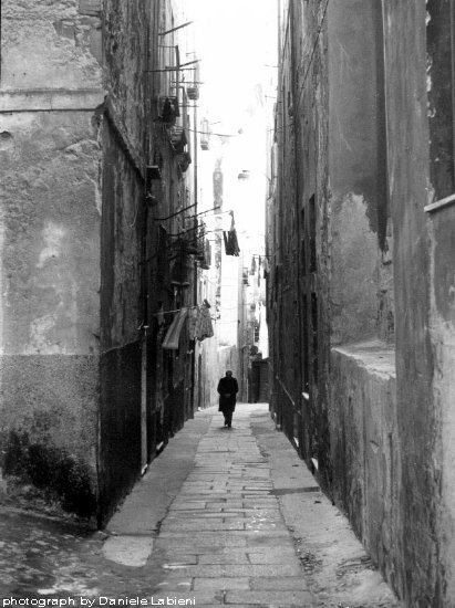 Image1.jpg%2BSOLITARIO.jpg