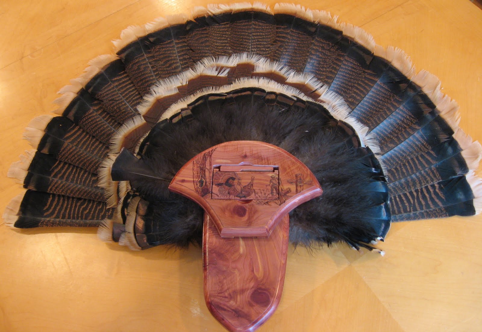 Shine Box Turkey Call Ultimate Tail Mount Kits