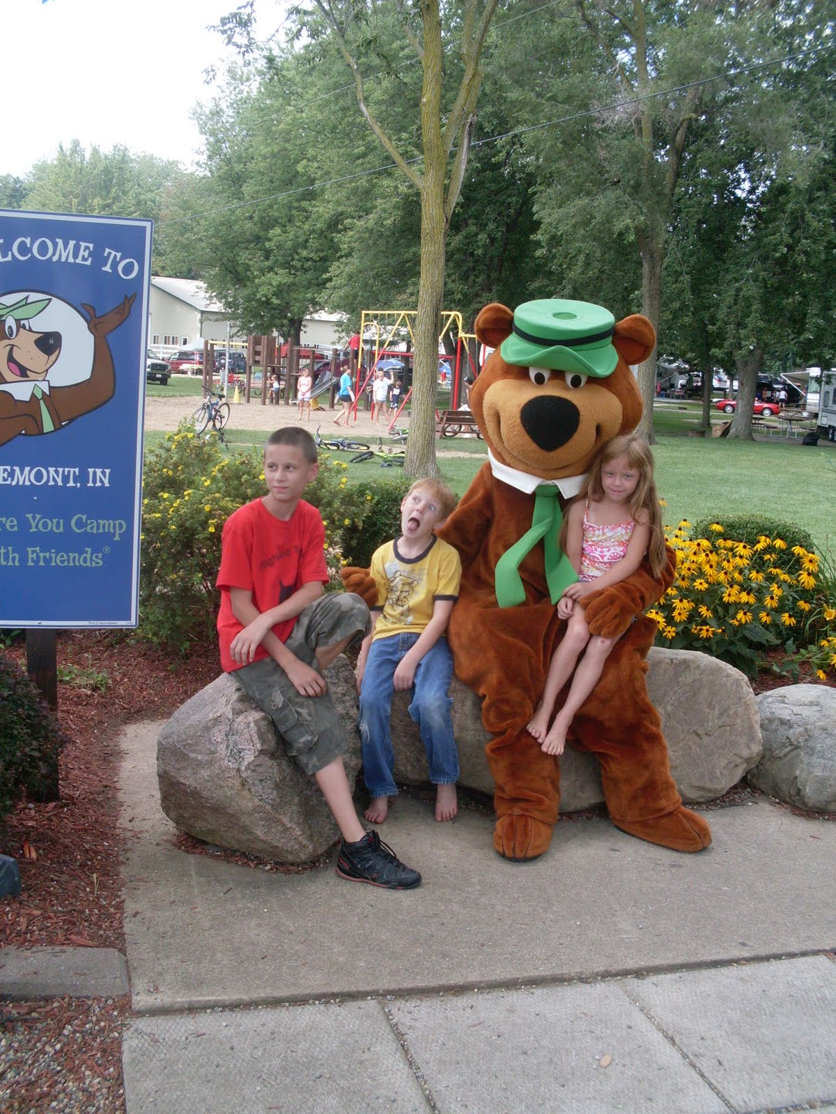 Camping Yogi Bear Camping