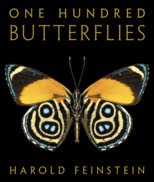 ONE+HUNDRED+BUTERFLIES