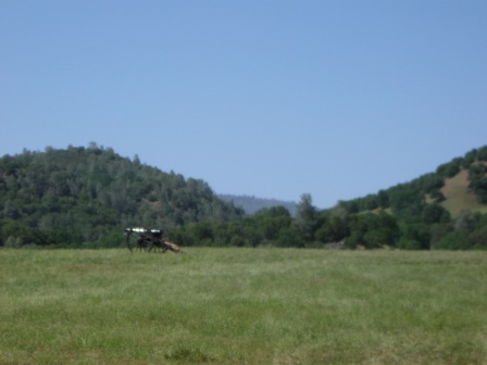 [IMG_0682.JPG]