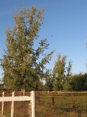 [IMG_2599.JPG]