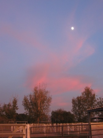 [IMG_2624.JPG]