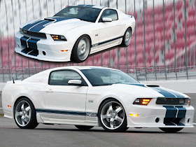 2013 Shelby GT350 Sports Car 8