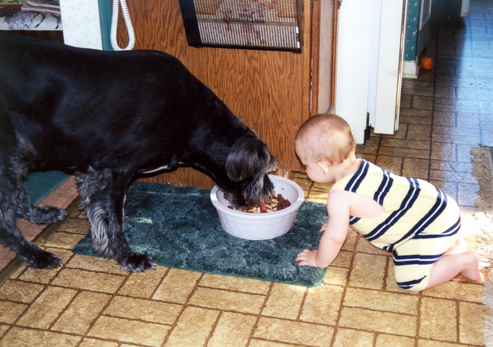 [Scotty+9+yrs+July+1998+Jared+1+yr.jpg]