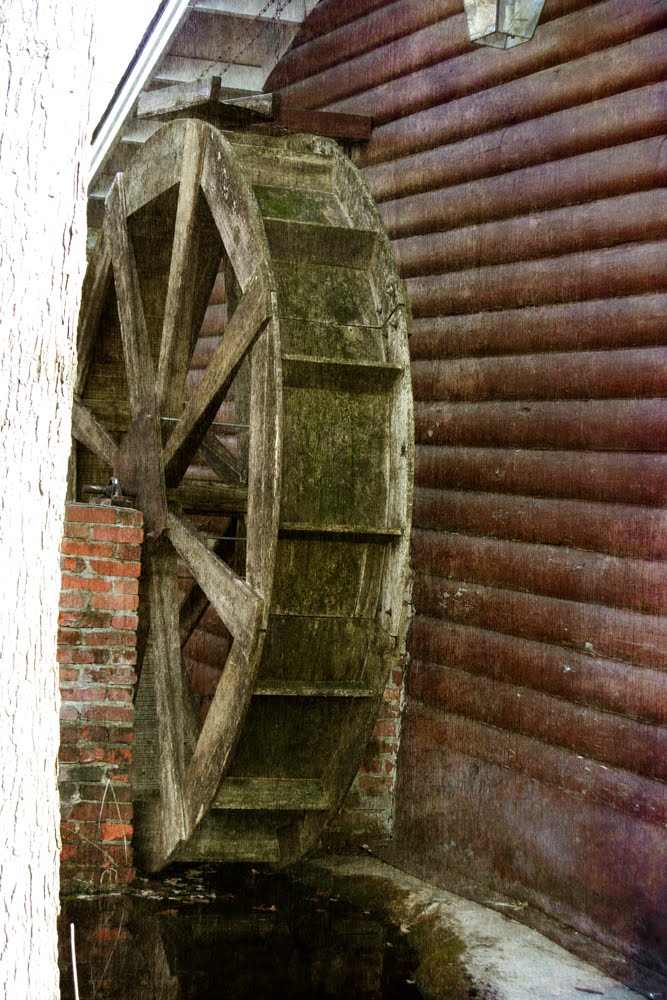 [_MG_8801a+copy.jpg]