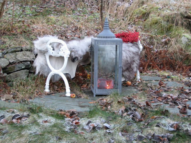 Velkommen tilbake