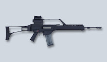 G36