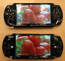 psp3000_lcd_01.jpg