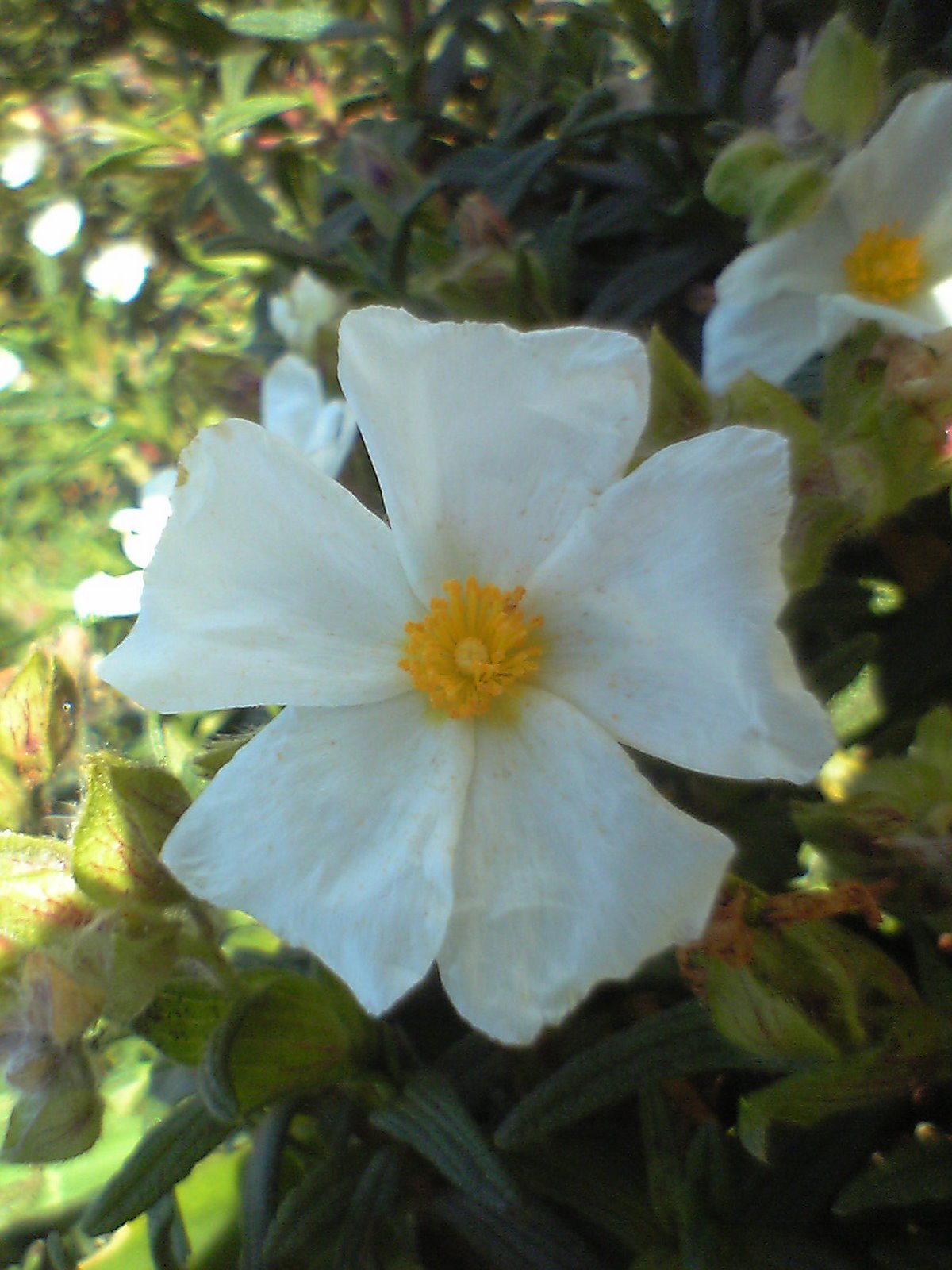 [07-04-22_11-23.jpg]