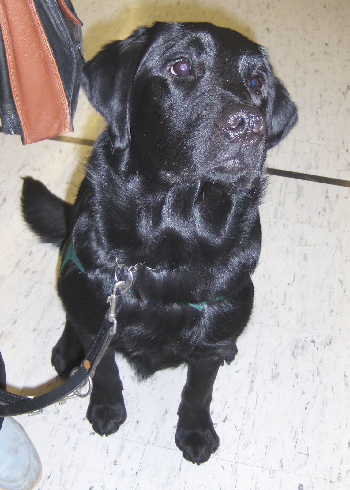 fibrejournal Canadian Embroiderers' Guild, Guelph Open House