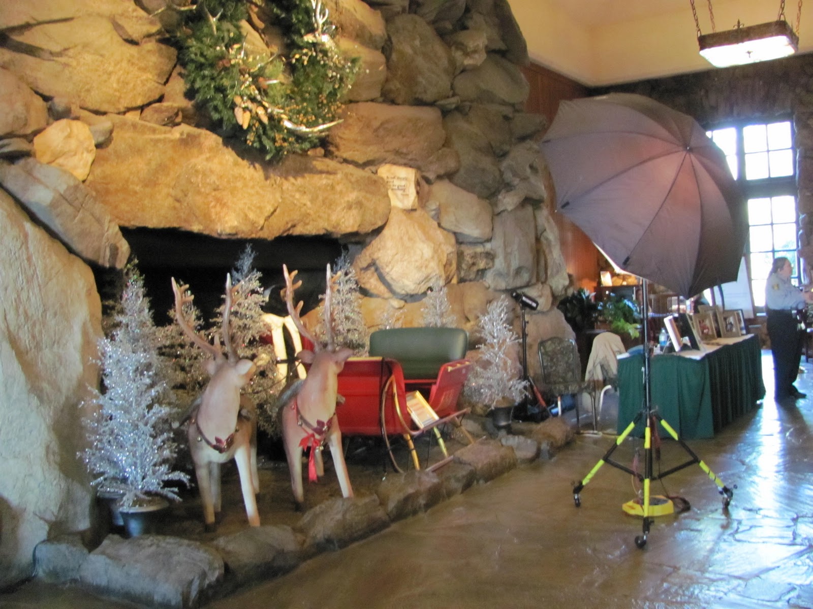Life in the Carolina Mountains Christmas at the Grove Park Inn, Asheville
