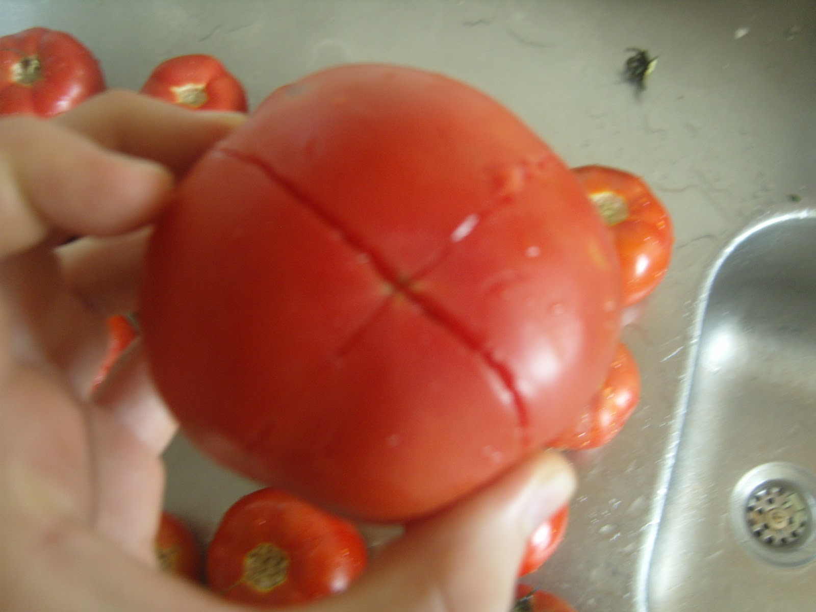 Comidas un poco más sanas: Precio y calidad: puré de tomate