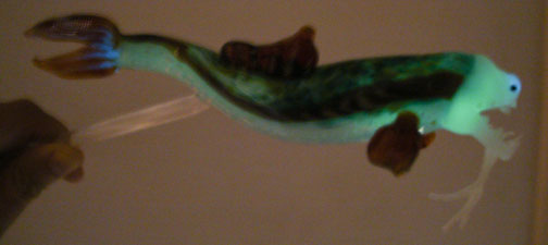 [viperfish-colors-(1-of-1)-3.jpg]