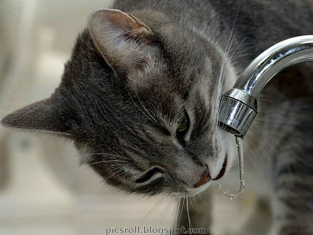 [thumbs_water_09.jpg]