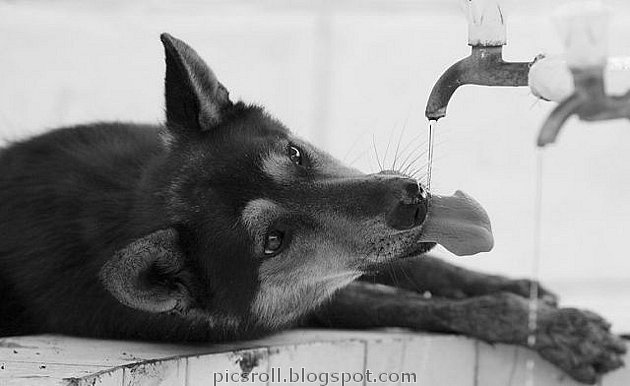 [thumbs_water_01.jpg]