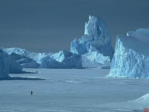Duelo en el corazón de la Antártida: un siglo de la llegada del hombre al Polo Sur