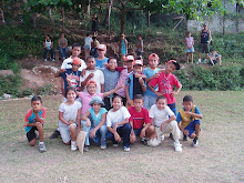 My Baseball Team