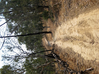 Melbourne Park Walk: North East Circuit Walk - Yarra Bend Park - Kew - Victoria