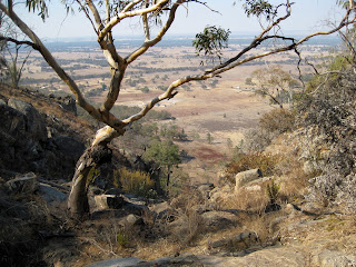 Friends Track - Warby Range State Park - Wangaratta - Victoria Friends Track - Warby Range State Park - Wangaratta - Victoria