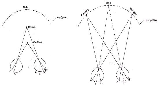 Psicología de la Percepción - UCM: Percepción de la profundidad y el ...