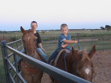 Kids Horses......