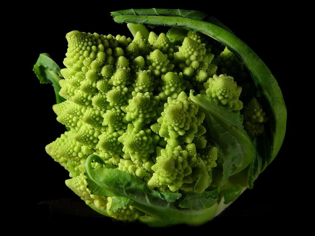 [Fractal_Broccoli.jpg]