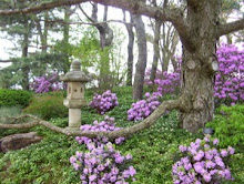 Japanese Garden at Chicago Botanical Garden