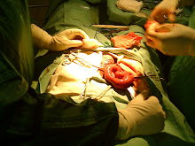 Salle d'Opération -Choscal - Cité Soleil