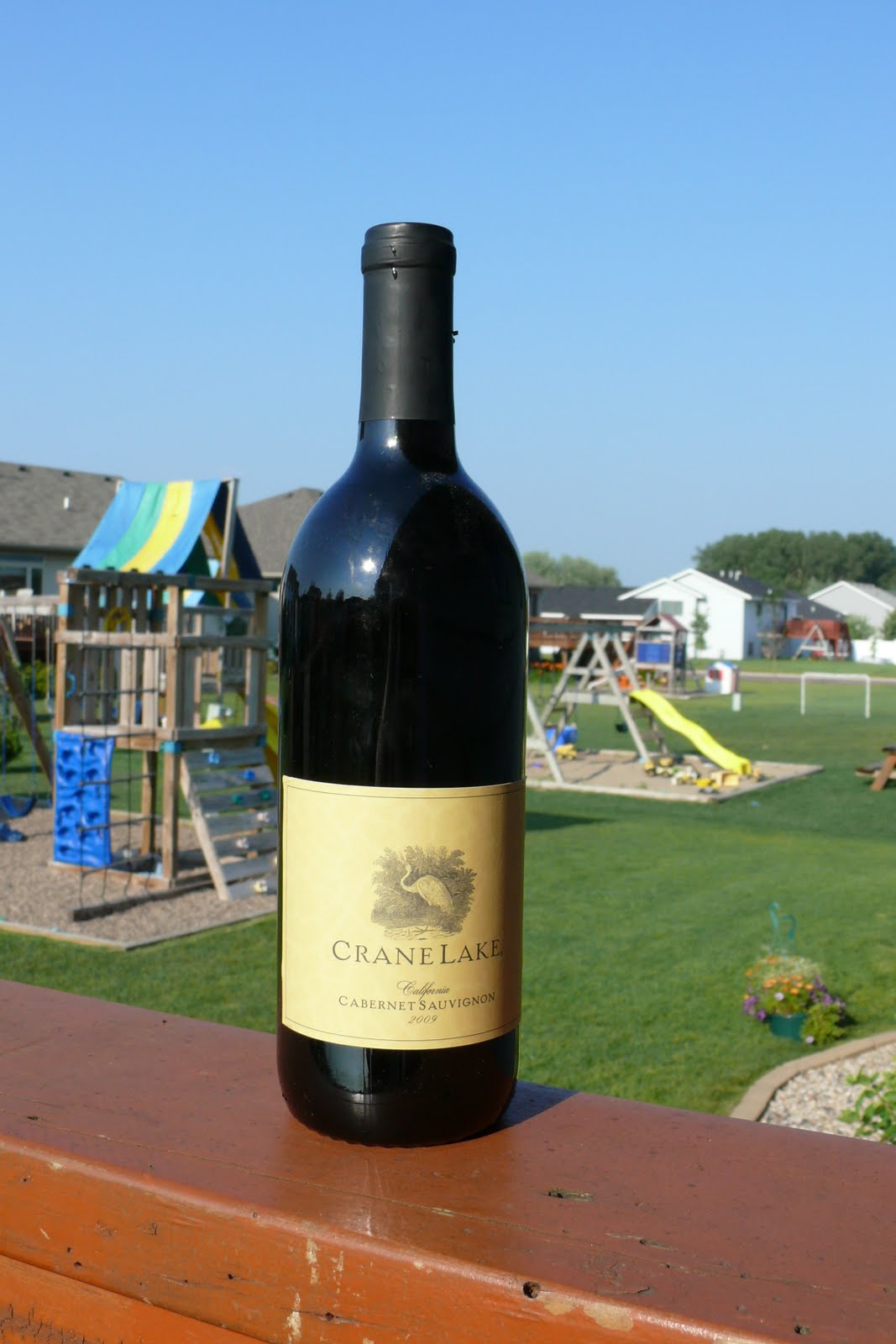 Wine On The Cheap Crane Lake Sauvignon