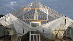 Greenhouse Improvements