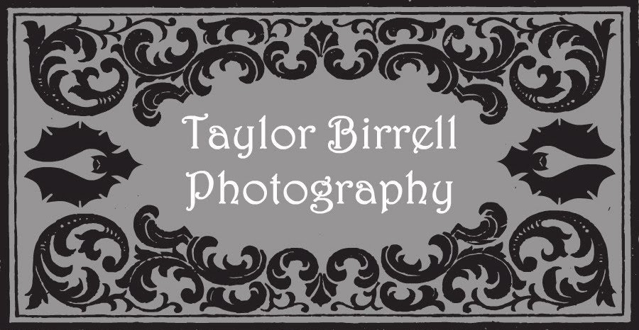 Taylor Birrell Photography